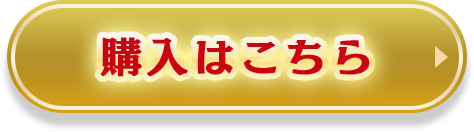 この内容で購入する