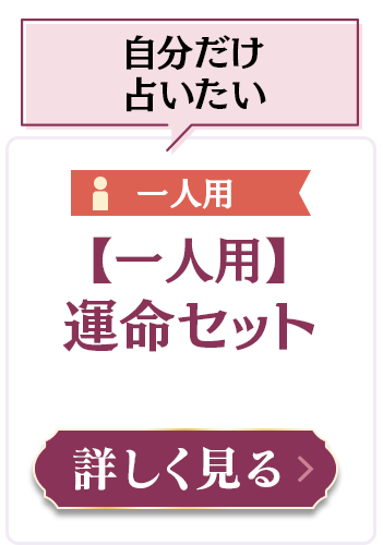 【一人用】運命セット ¥2,750（税込）