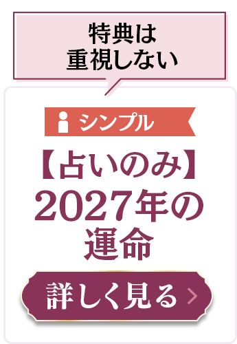 【占いのみ】2027年の運命 ¥1,650（税込）