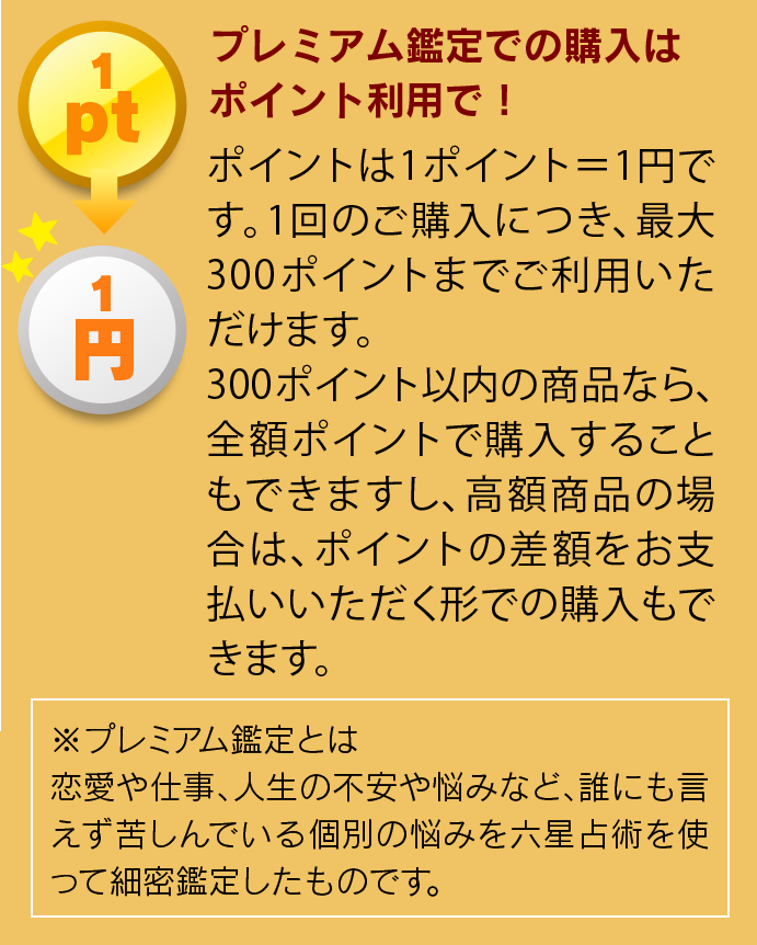 プレミアム鑑定での購入はポイント利用で！