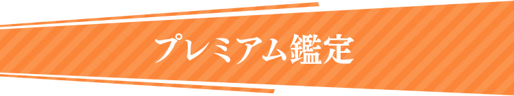 プレミアム鑑定