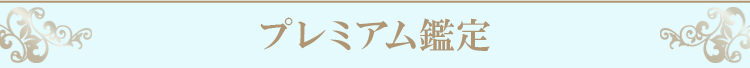 プレミアム鑑定